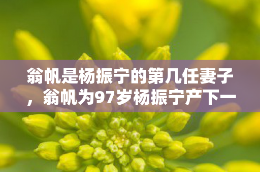 翁帆为97岁杨振宁产下一子图片