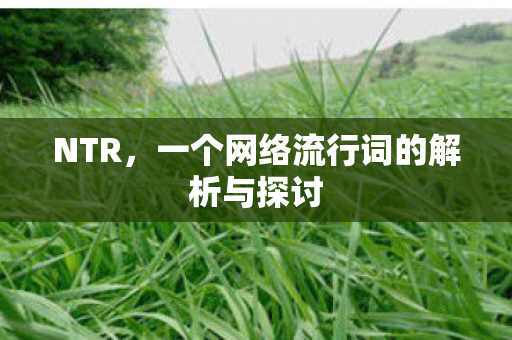 一个网络流行词的解析与探讨图片