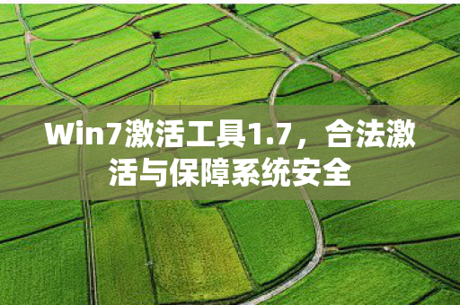 合法激活与保障系统安全图片