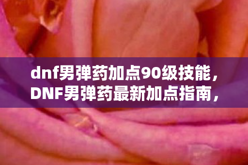 dnf男弹药加点90级技能图片