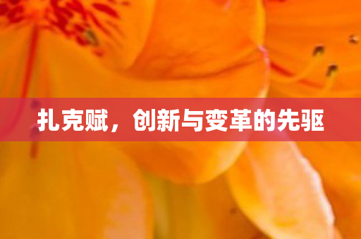 创新与变革的先驱图片
