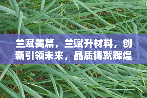 创新引领未来图片