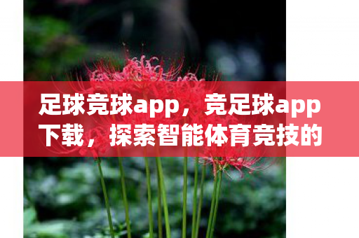 探索智能体育竞技的新世界图片