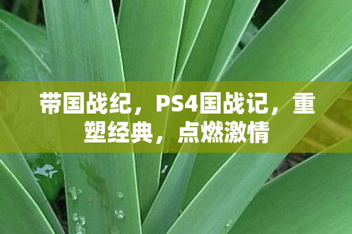 PS4国战记图片