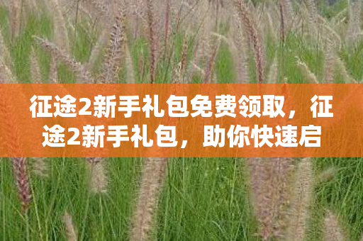 征途2新手礼包免费领取图片