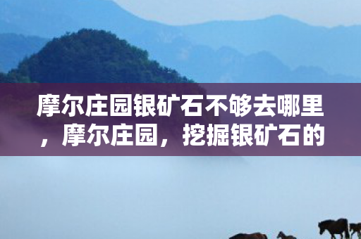摩尔庄园银矿石不够去哪里图片