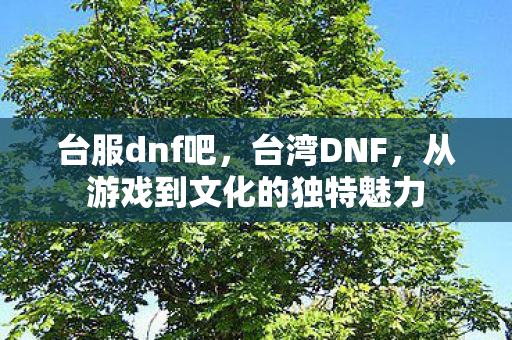 从游戏到文化的独特魅力图片