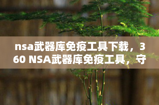 360 NSA武器库免疫工具图片