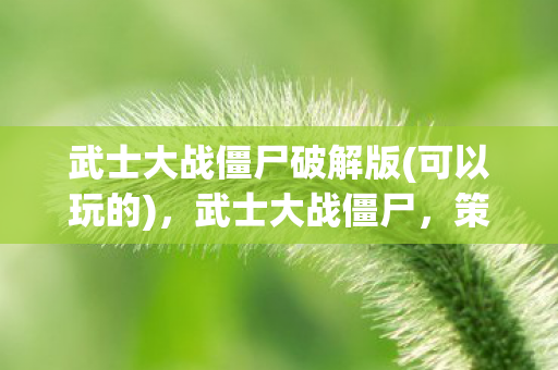 策略与技巧的全面指南图片