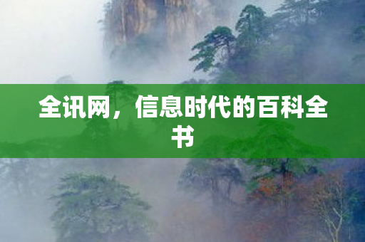 信息时代的百科全书图片