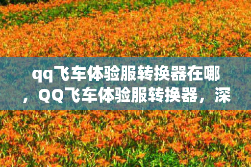 qq飞车体验服转换器在哪，QQ飞车体验服转换器，深度解析与体验分享