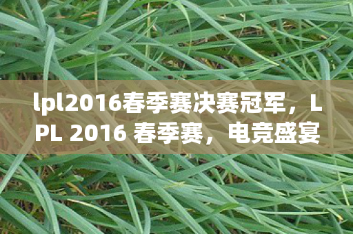 lpl2016春季赛决赛冠军图片