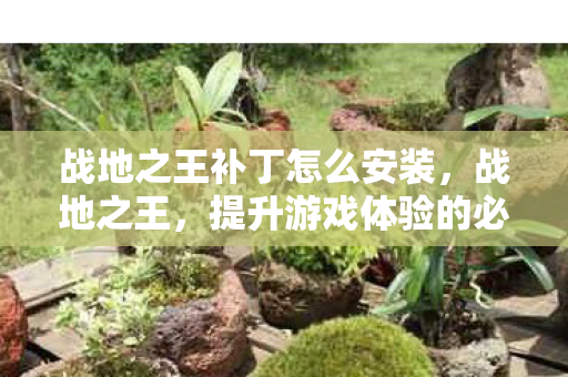 提升游戏体验的必备补丁图片