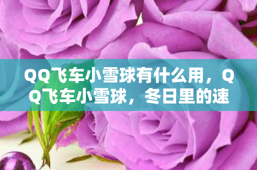 QQ飞车小雪球有什么用图片