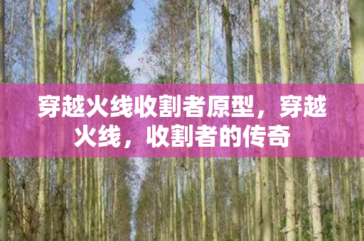 穿越火线收割者原型图片