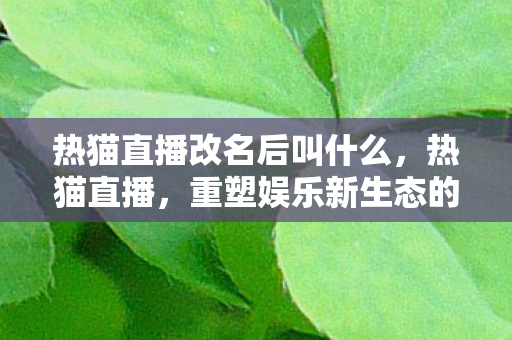 重塑娱乐新生态的直播平台图片