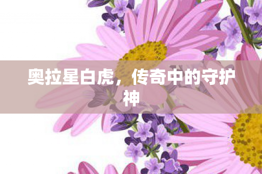 传奇中的守护神图片