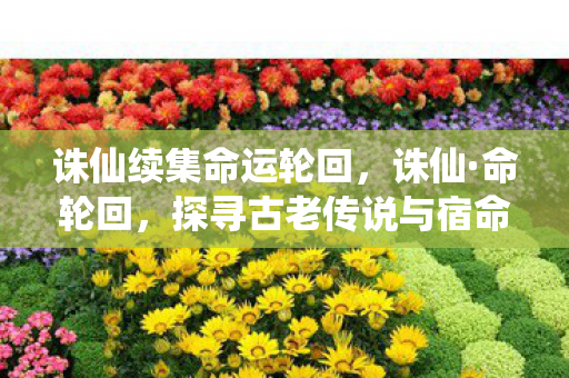 探寻古老传说与宿命交织的奇幻之旅图片