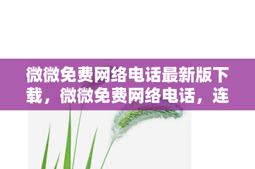 微微免费网络电话最新版下载图片
