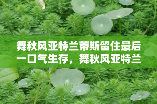 舞秋风亚特兰蒂斯留住最后一口气生存图片