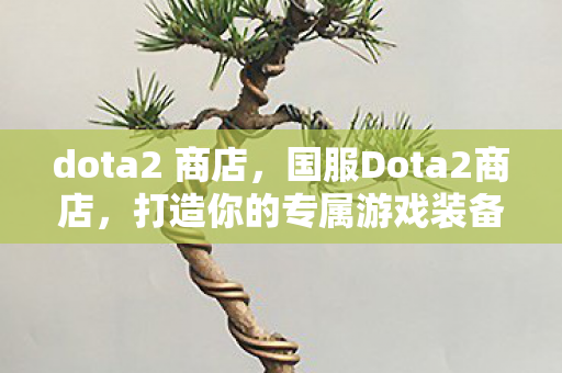 打造你的专属游戏装备图片