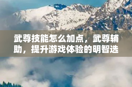 提升游戏体验的明智选择图片