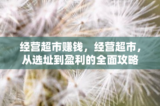 从选址到盈利的全面攻略图片