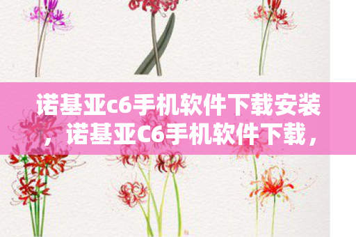 诺基亚c6手机软件下载安装图片