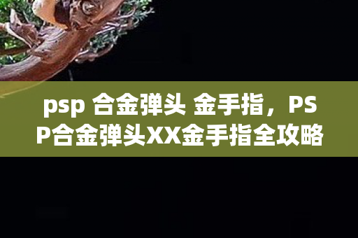 PSP合金弹头XX金手指全攻略图片