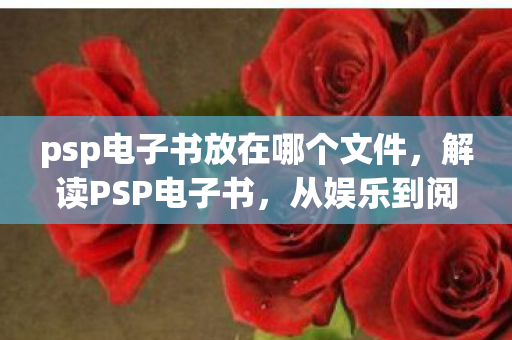 psp电子书放在哪个文件图片