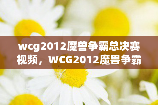 wcg2012魔兽争霸总决赛视频图片