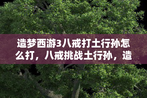 造梦西游3八戒打土行孙怎么打图片