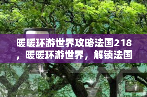 暖暖环游世界攻略法国218图片