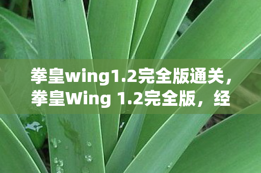 经典格斗游戏的全新升级图片