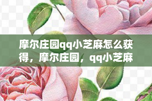摩尔庄园qq小芝麻怎么获得图片