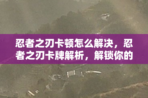 忍者之刃卡顿怎么解决图片