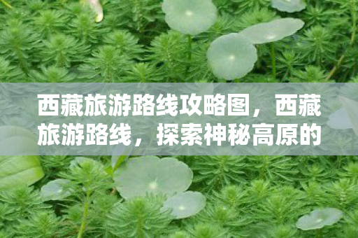 探索神秘高原的绝美之旅图片