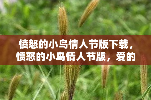 愤怒的小鸟情人节版下载图片