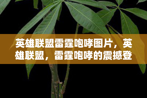 英雄联盟雷霆咆哮图片图片