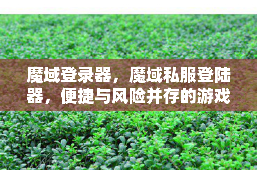 便捷与风险并存的游戏体验图片