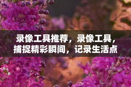 录像工具推荐图片