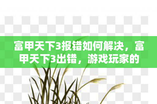 游戏玩家的困扰与解决方案图片