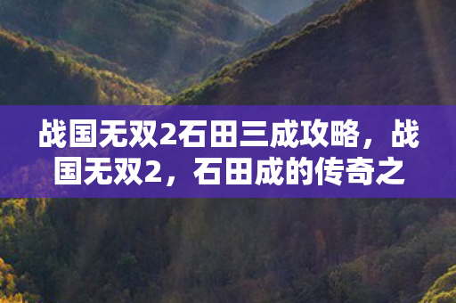 战国无双2石田三成攻略图片