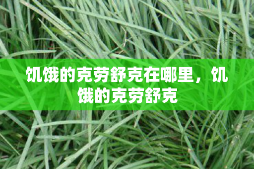 饥饿的克劳舒克在哪里图片