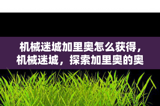 机械迷城加里奥怎么获得图片