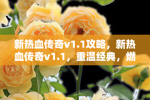 新热血传奇v1.1攻略，新热血传奇v1.1，重温经典，燃烧你的激情岁月