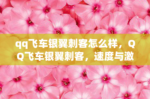 qq飞车银翼刺客怎么样，QQ飞车银翼刺客，速度与激情的完美结合