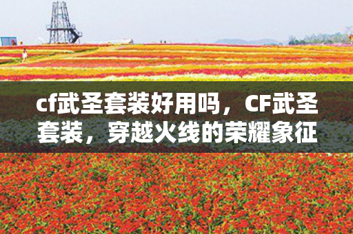 cf武圣套装好用吗图片