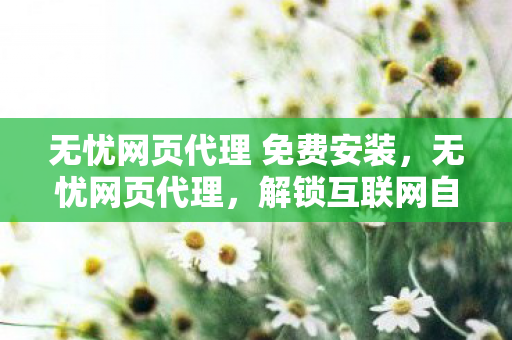 无忧网页代理 免费安装图片
