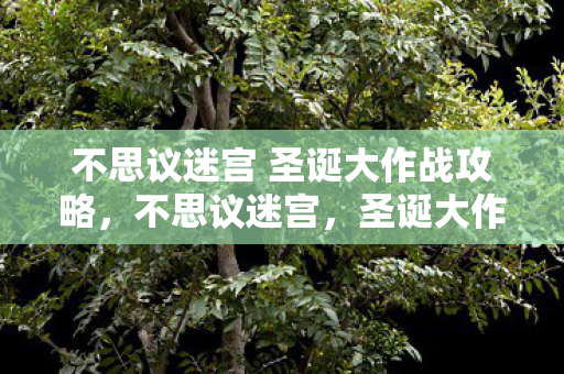 不思议迷宫 圣诞大作战攻略图片